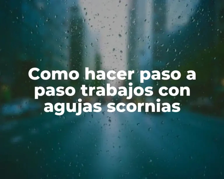 Como hacer paso a paso trabajos con agujas scornias