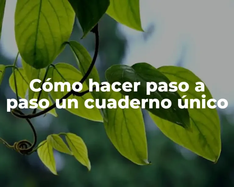 Cómo hacer paso a paso un cuaderno único