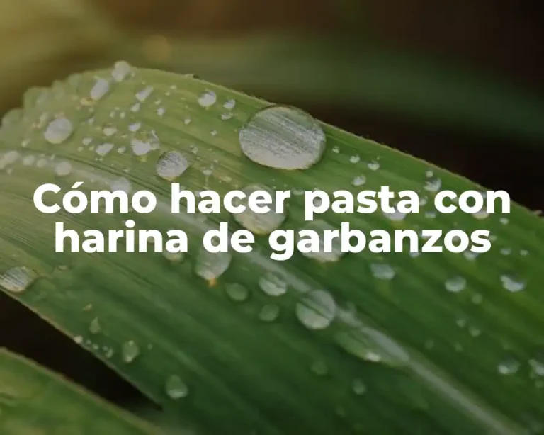 Cómo hacer pasta con harina de garbanzos