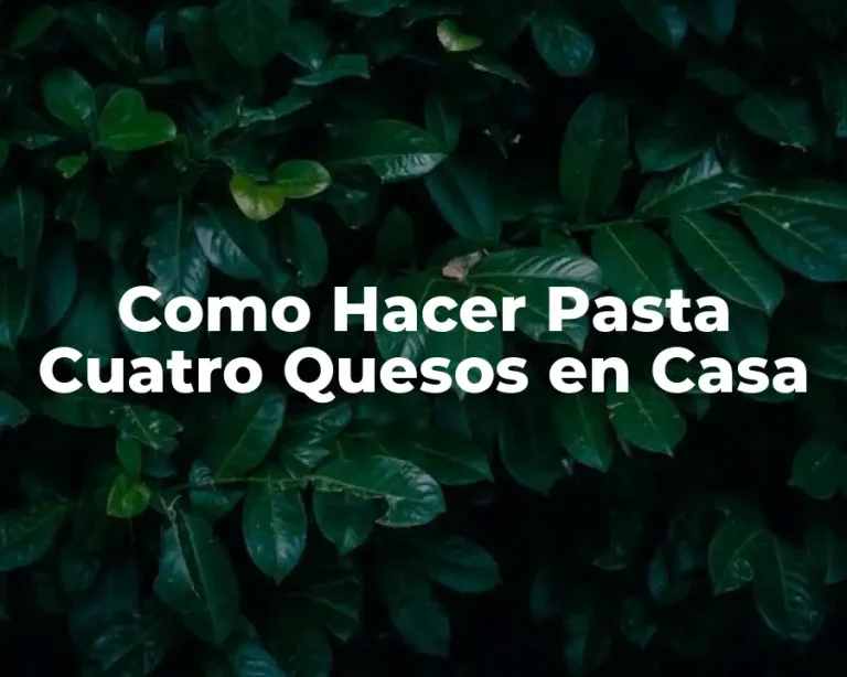 Como Hacer Pasta Cuatro Quesos en Casa
