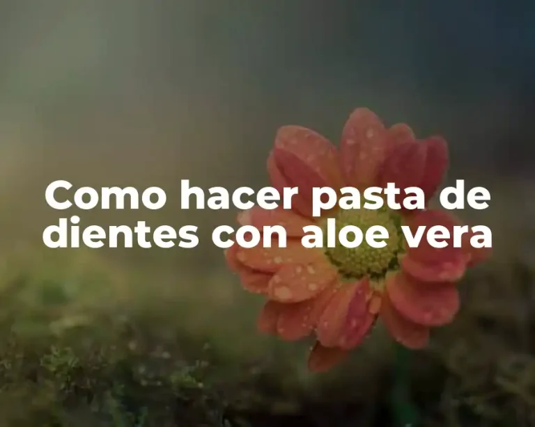 Como hacer pasta de dientes con aloe vera