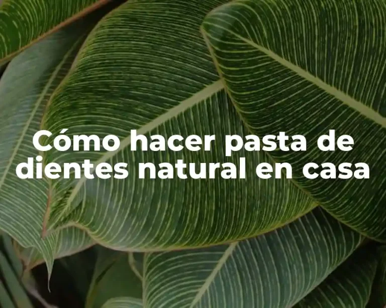 Cómo hacer pasta de dientes natural en casa