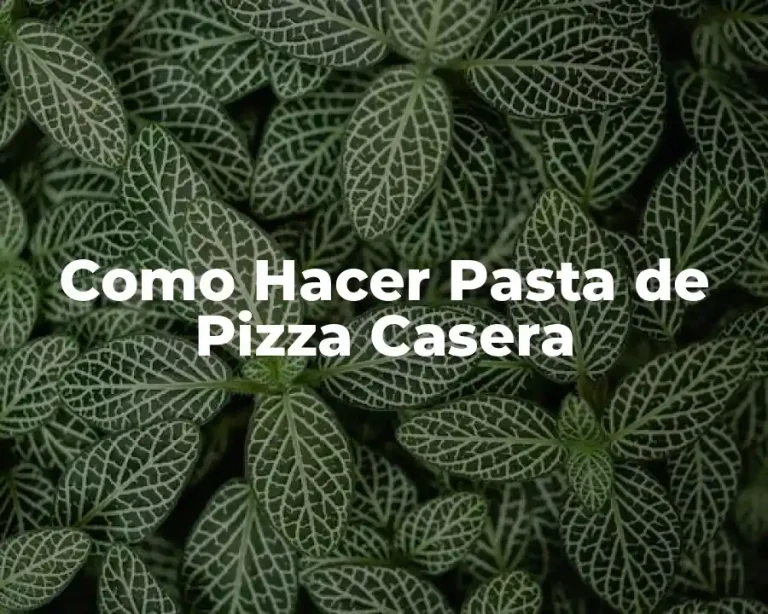 Como Hacer Pasta de Pizza Casera