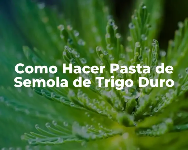 Como Hacer Pasta de Semola de Trigo Duro