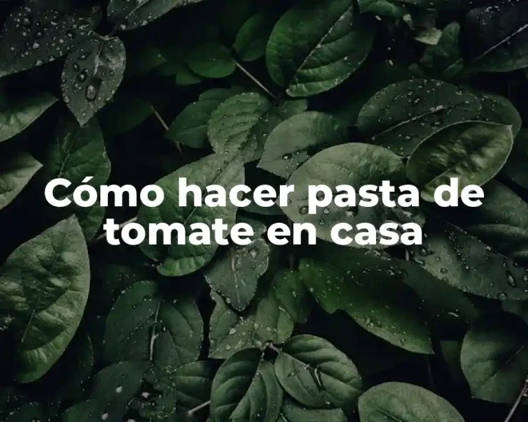 Cómo hacer pasta de tomate en casa