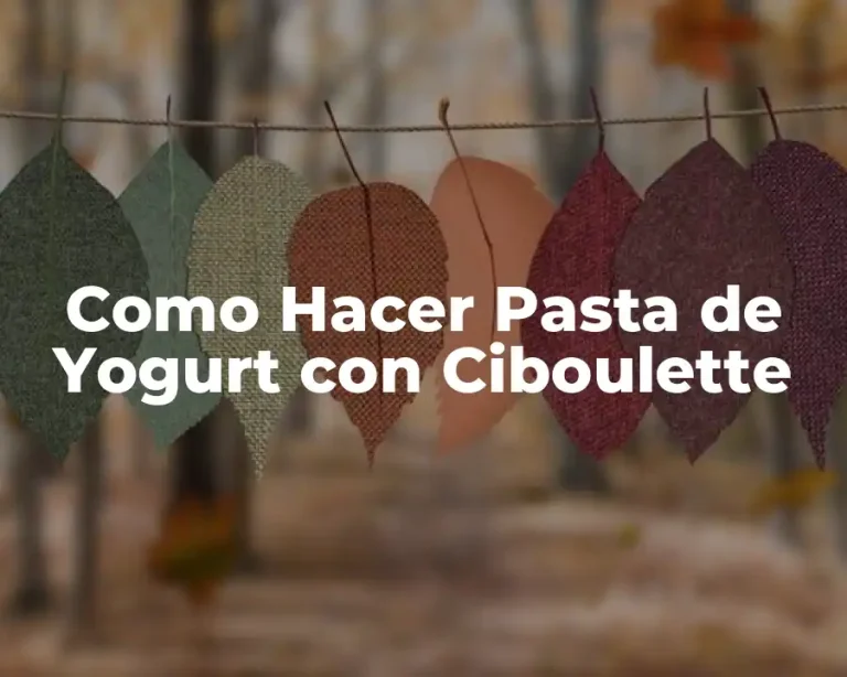 Como Hacer Pasta de Yogurt con Ciboulette