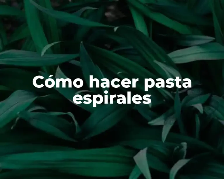 Cómo hacer pasta espirales