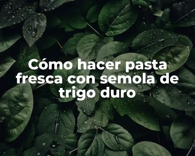 Cómo hacer pasta fresca con semola de trigo duro