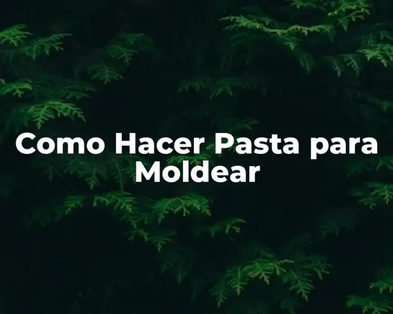 Como Hacer Pasta para Moldear