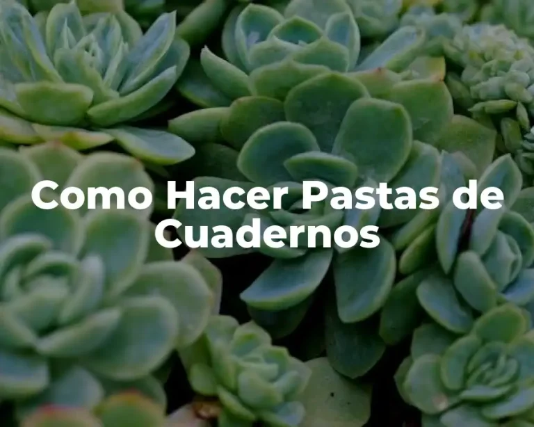 Como Hacer Pastas de Cuadernos