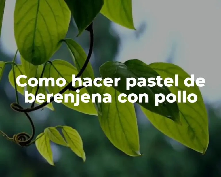 Como hacer pastel de berenjena con pollo