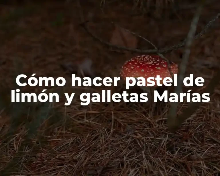 Cómo hacer pastel de limón y galletas Marías