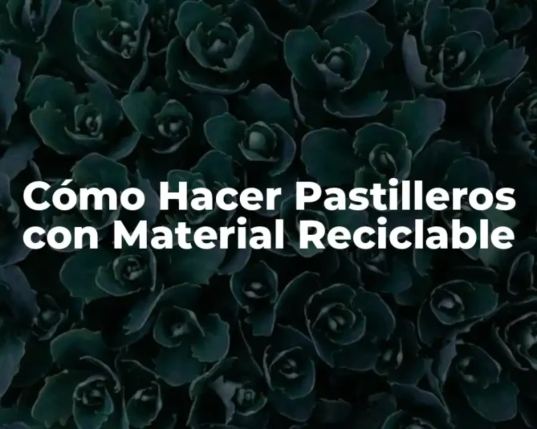 Cómo Hacer Pastilleros con Material Reciclable