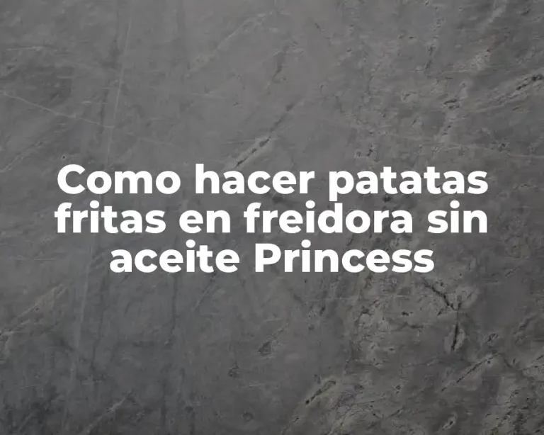 Como hacer patatas fritas en freidora sin aceite Princess