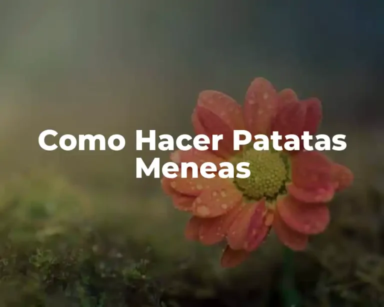 Como Hacer Patatas Meneas