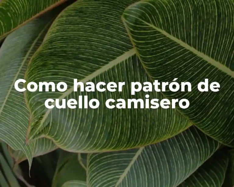 Como hacer patrón de cuello camisero