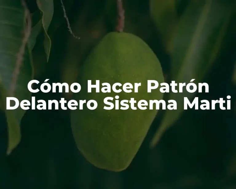 Cómo Hacer Patrón Delantero Sistema Marti
