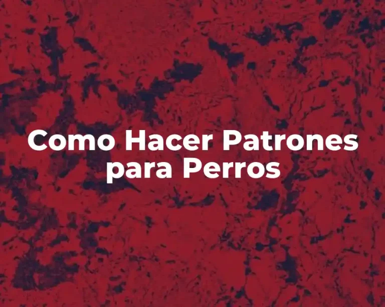 Como Hacer Patrones para Perros