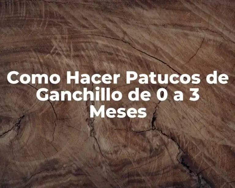 Como Hacer Patucos de Ganchillo de 0 a 3 Meses