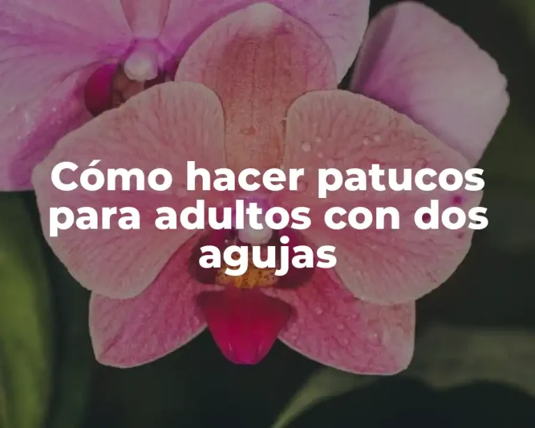 Cómo hacer patucos para adultos con dos agujas