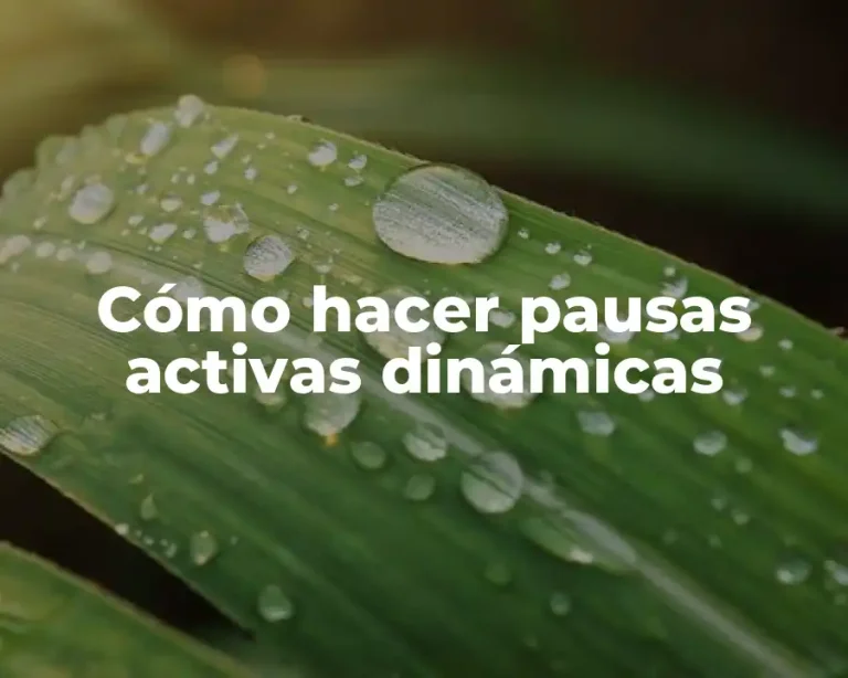 Cómo hacer pausas activas dinámicas