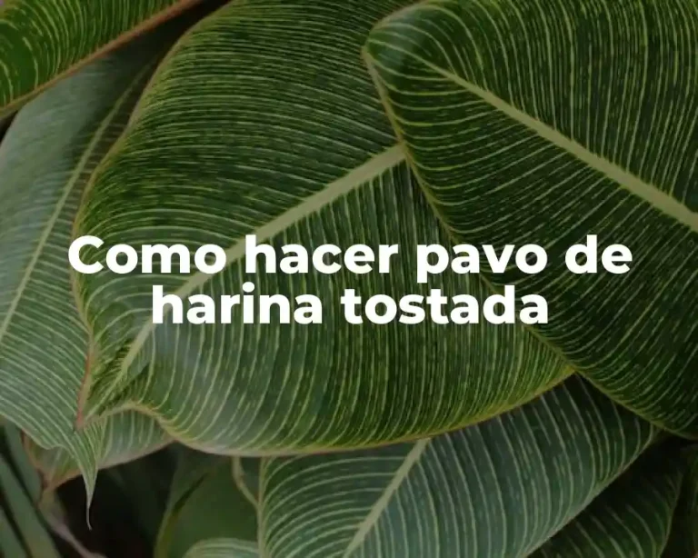 Como hacer pavo de harina tostada