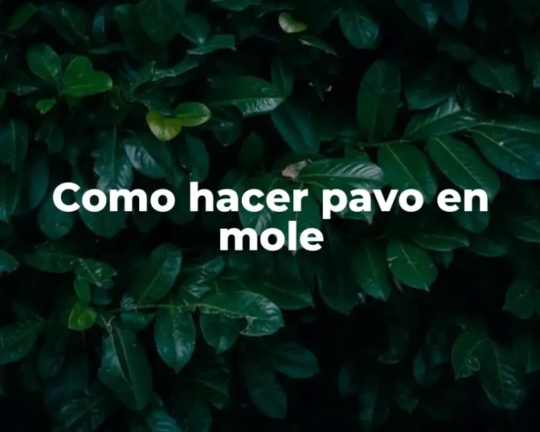 Como hacer pavo en mole