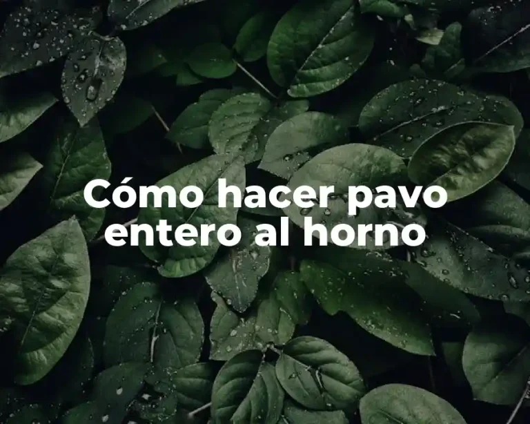 Cómo hacer pavo entero al horno