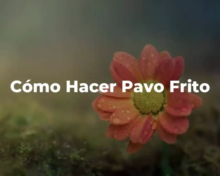 Cómo Hacer Pavo Frito