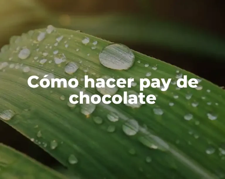 Cómo hacer pay de chocolate