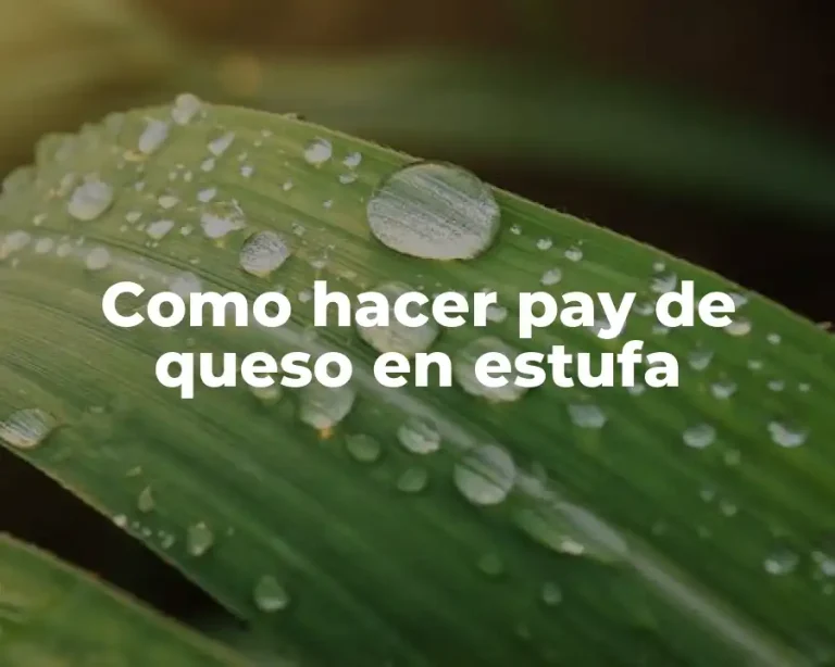 Como hacer pay de queso en estufa