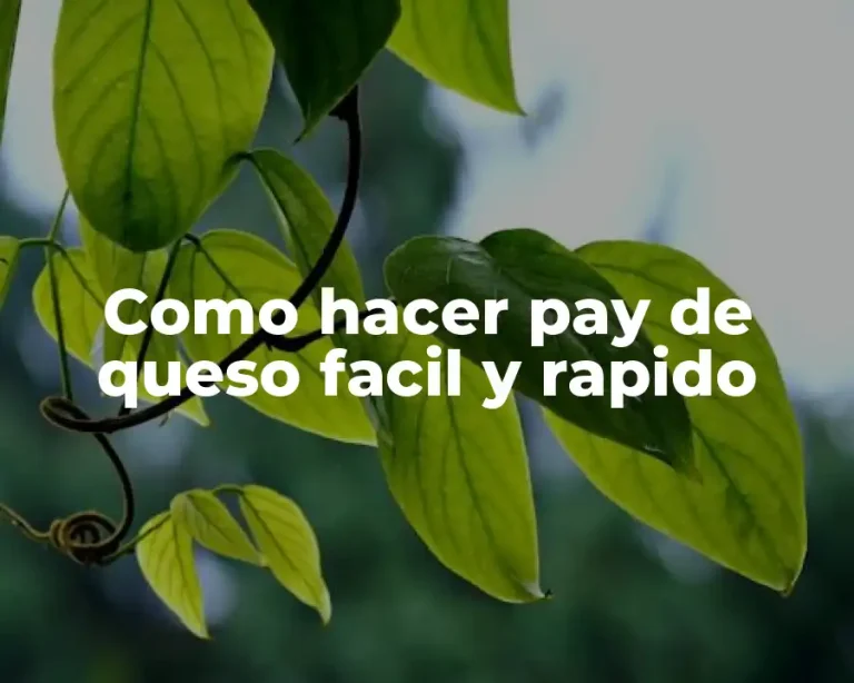 Como hacer pay de queso facil y rapido