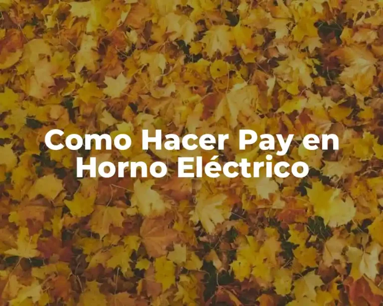 Como Hacer Pay en Horno Eléctrico