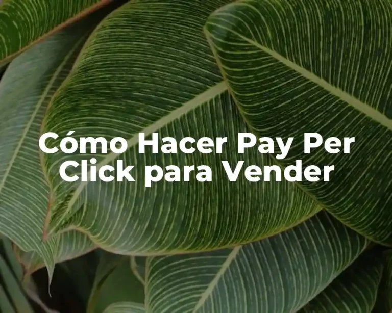 Cómo Hacer Pay Per Click para Vender