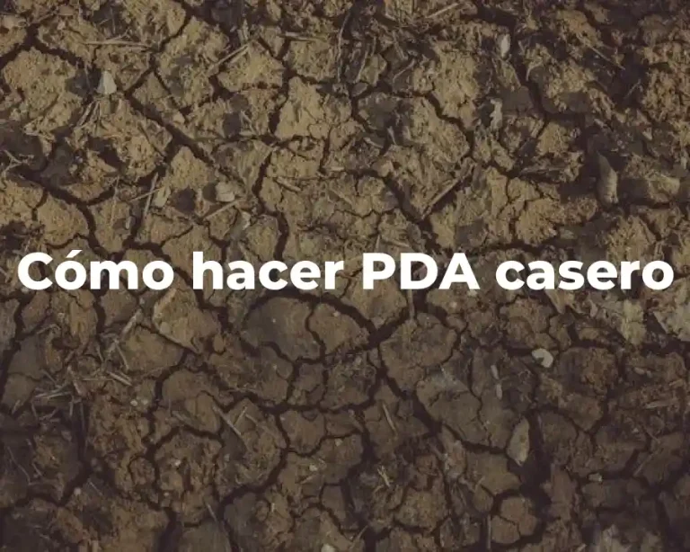 Cómo hacer PDA casero