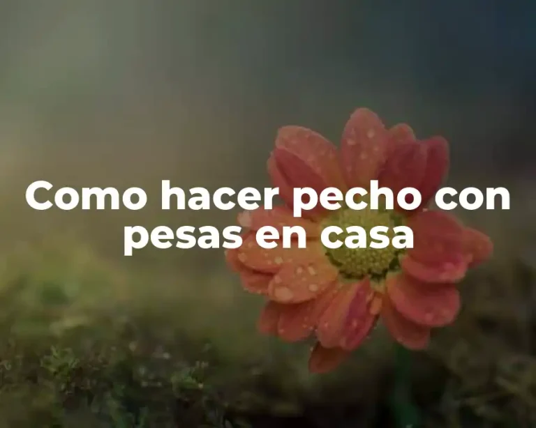 Como hacer pecho con pesas en casa