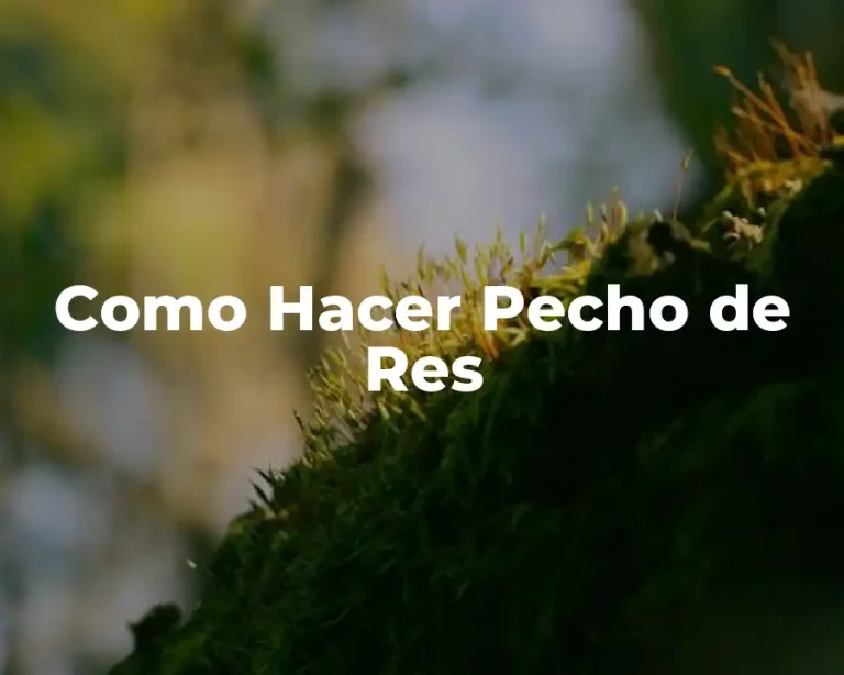 Como Hacer Pecho de Res