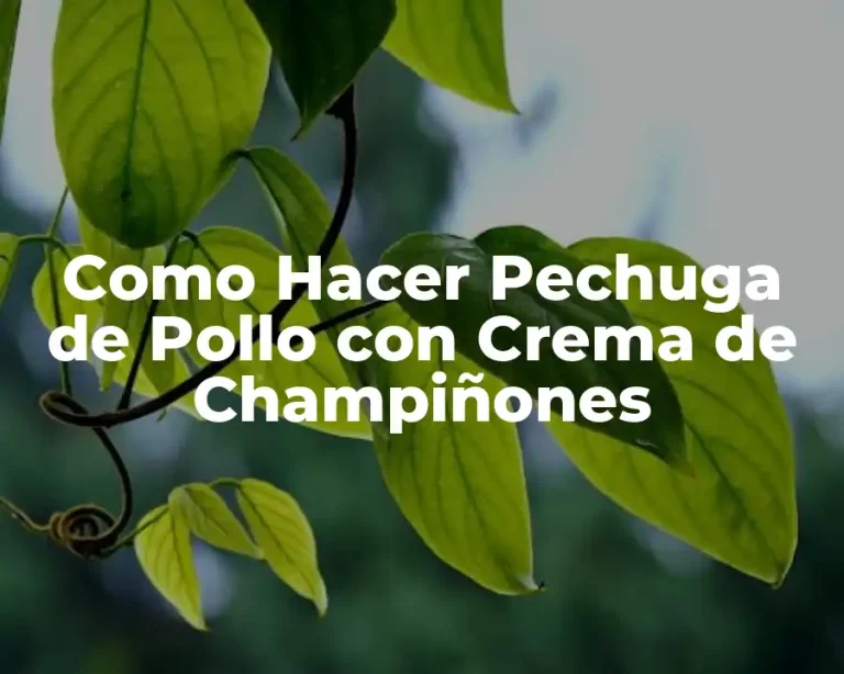 Como Hacer Pechuga de Pollo con Crema de Champiñones