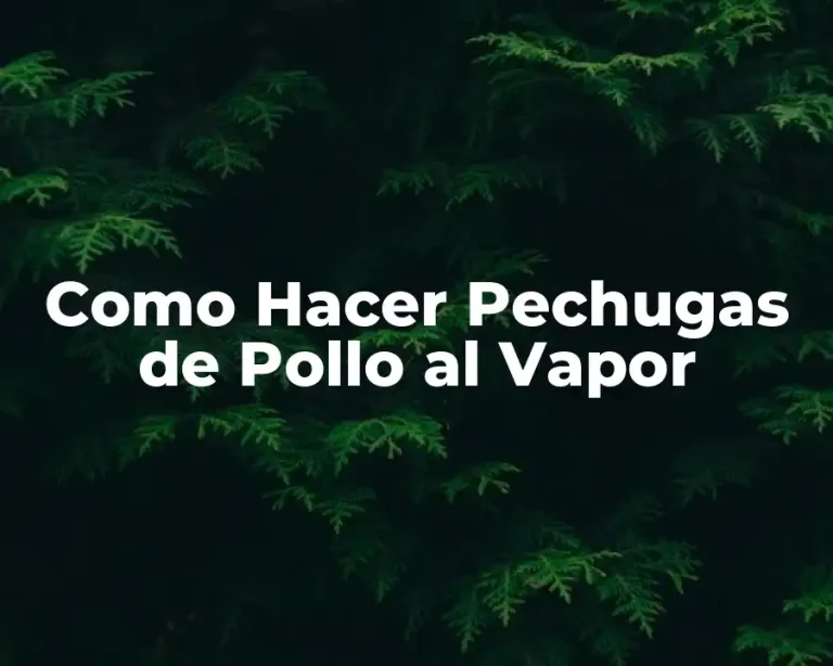 Como Hacer Pechugas de Pollo al Vapor