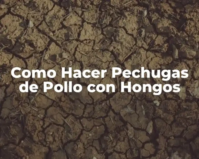 Como Hacer Pechugas de Pollo con Hongos