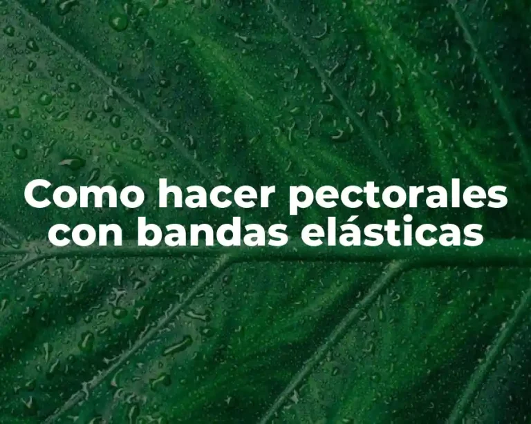 Como hacer pectorales con bandas elásticas