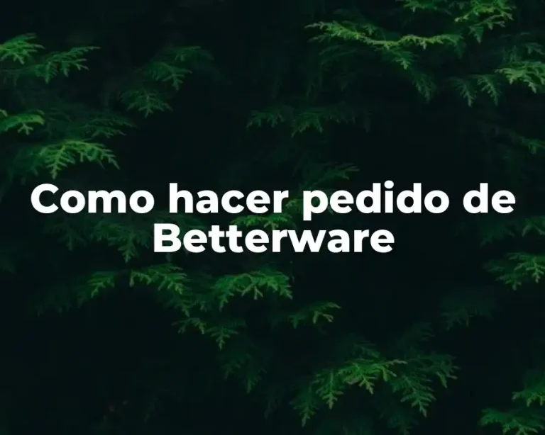 Como hacer pedido de Betterware