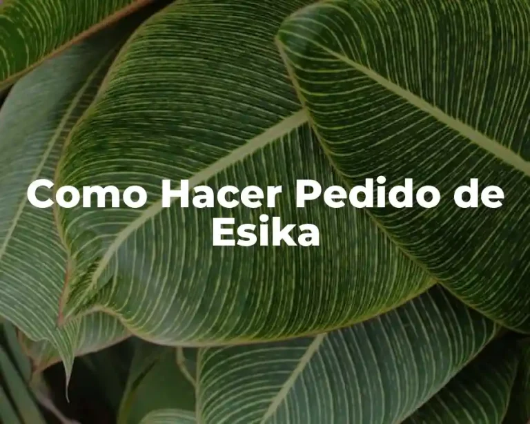 Como Hacer Pedido de Esika