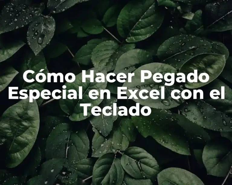 Cómo Hacer Pegado Especial en Excel con el Teclado