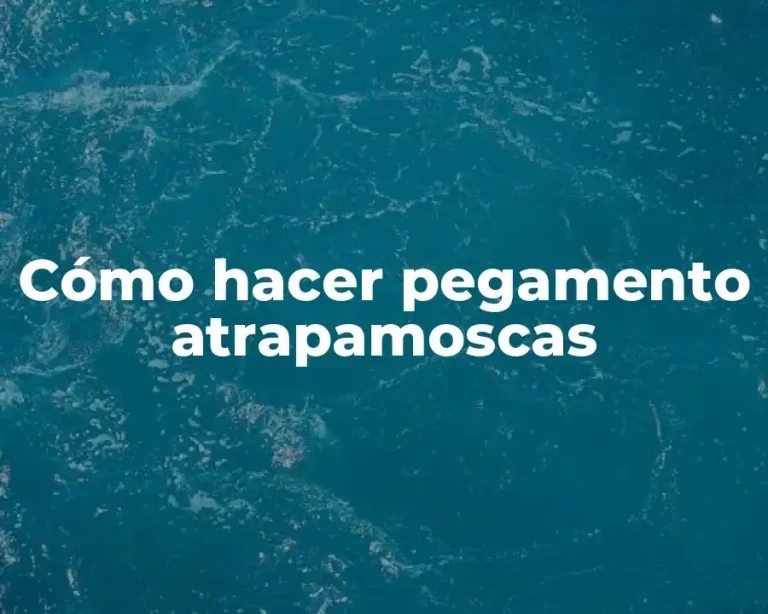 Cómo hacer pegamento atrapamoscas