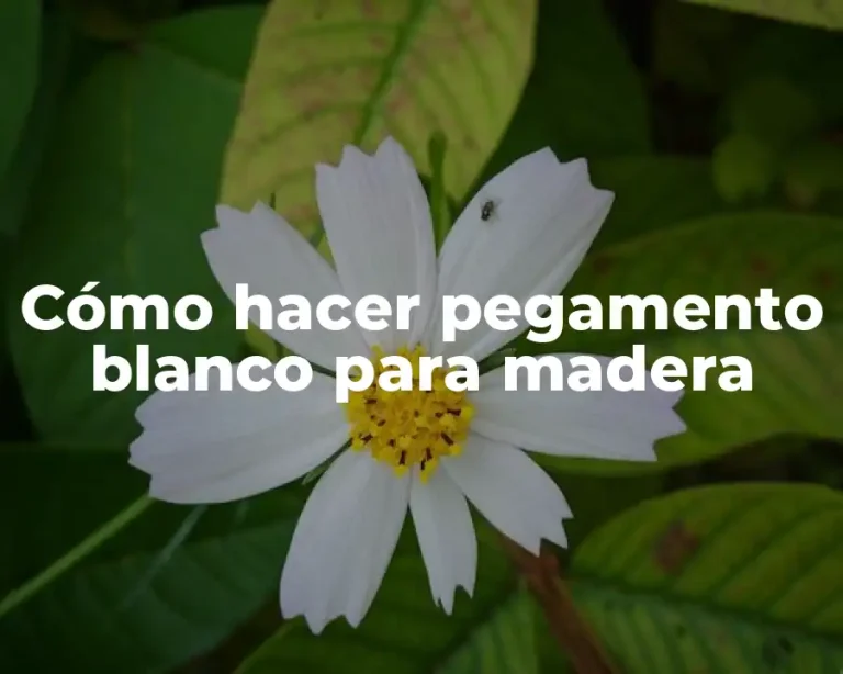 Cómo hacer pegamento blanco para madera