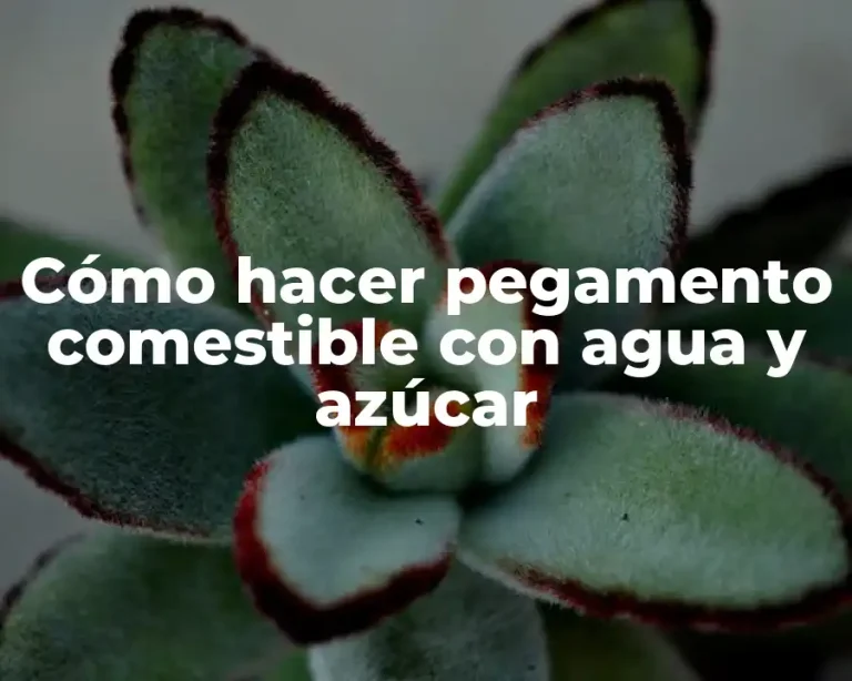 Cómo hacer pegamento comestible con agua y azúcar