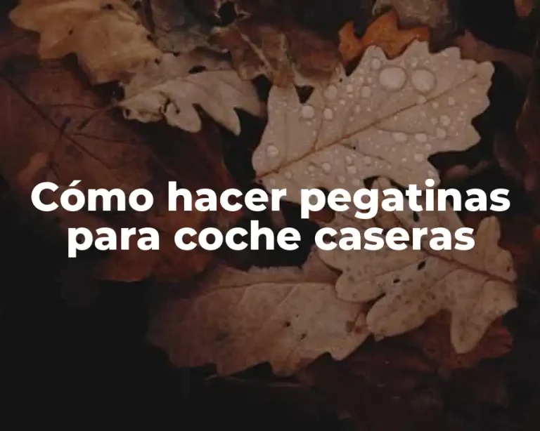 Cómo hacer pegatinas para coche caseras