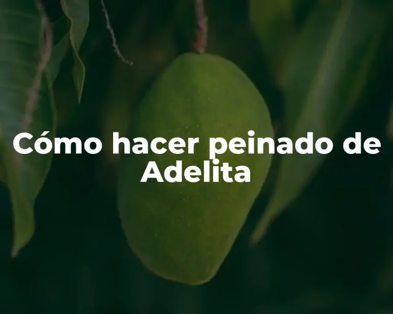 Cómo hacer peinado de Adelita