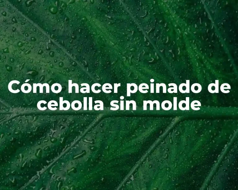 Cómo hacer peinado de cebolla sin molde